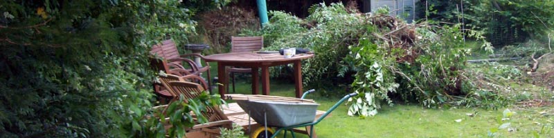 garden tidy service